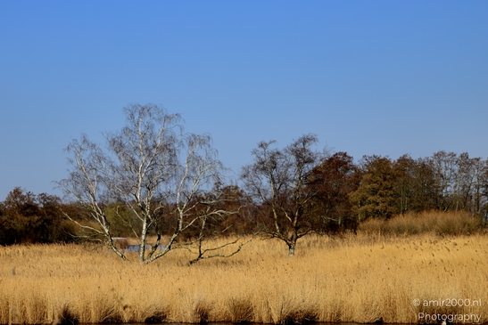 Het_Twiske_recreation_park_Oostzaan_Netherlands_Nature_Photography_Canon_EOS_R5_Mark_II_2025_012.JPG