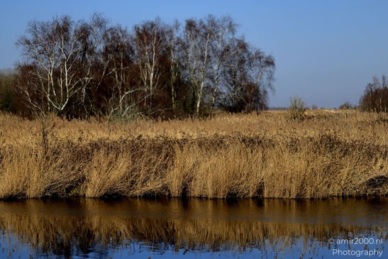 Het_Twiske_recreation_park_Oostzaan_Netherlands_Nature_Photography_Canon_EOS_R5_Mark_II_2025_014.JPG
