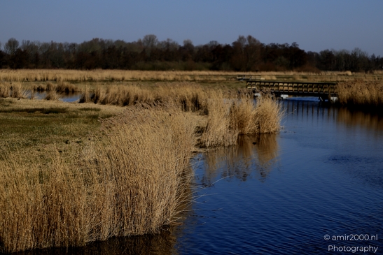 Het_Twiske_recreation_park_Oostzaan_Netherlands_Nature_Photography_Canon_EOS_R5_Mark_II_2025_016.JPG