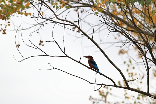 Across the frame, the scene is framed by surrounding landscape with natural ground texture. - image from year 2025 #008