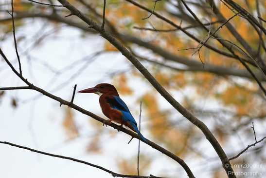 Against rolling hills, the scene sits against a natural backdrop. - image from year 2025 #012