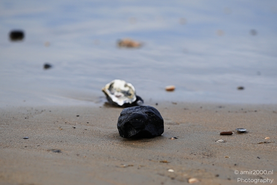 Marine_Debris_On_A_Beach_Black_Rock_And_Shell_Among_Marine_Zandvoort_Netherlands_nature_Photography_Canon_EOS_R5_Mark_II_2025_002.JPG