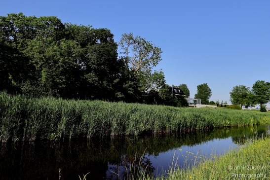 Middelpolder_and_Amstel_river_Amstelveen_Netherlands_Nature_Photography_Canon_EOS_R5_Mark_II_2025_003.JPG
