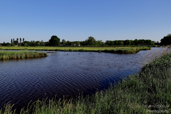 Middelpolder_and_Amstel_river_Amstelveen_Netherlands_Nature_Photography_Canon_EOS_R5_Mark_II_2025_006.JPG