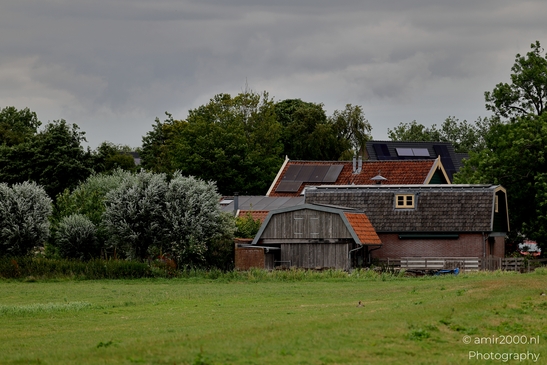 Middelpolder_in_summer_Amstelveen_Netherlands_Nature_Photography_Canon_EOS_R5_Mark_II_2025_001.JPG