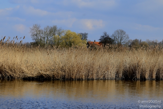 Middelpolder_spring_Amstelveen_Netherlands_Nature_Photography_Canon_EOS_R5_Mark_II_2025_001.JPG