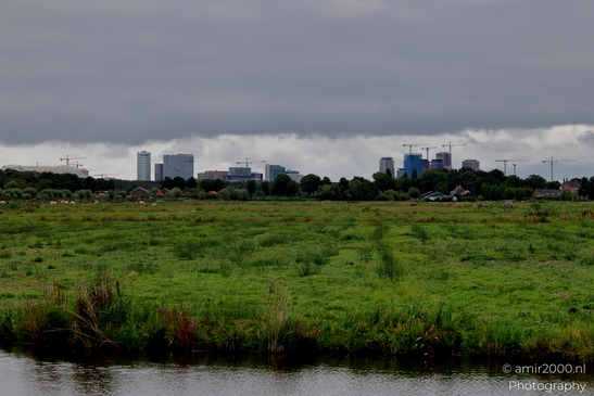 Middelpolder_summer_scenery_Amstelveen_Netherlands_Nature_Photography_Canon_EOS_R5_Mark_II_2025_001.JPG