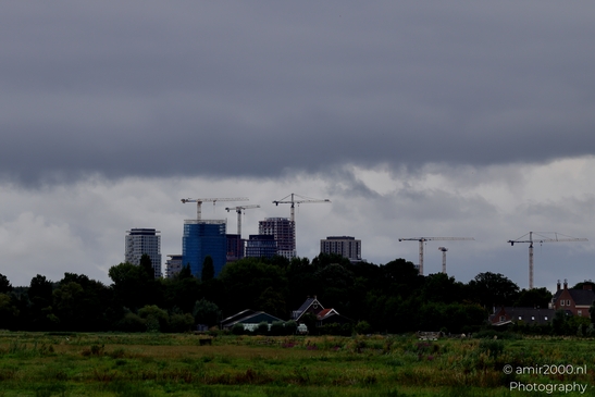 Middelpolder_summer_scenery_Amstelveen_Netherlands_Nature_Photography_Canon_EOS_R5_Mark_II_2025_002.JPG