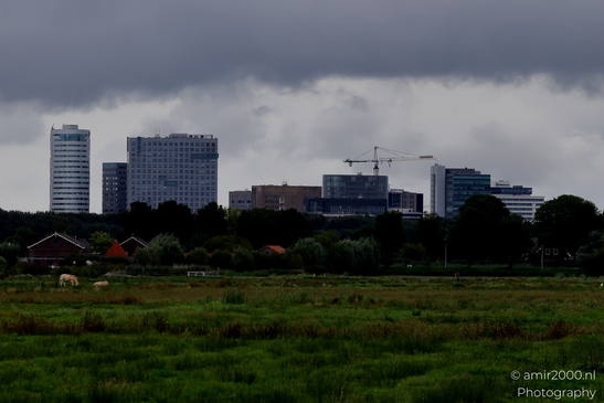 Middelpolder_summer_scenery_Amstelveen_Netherlands_Nature_Photography_Canon_EOS_R5_Mark_II_2025_003.JPG
