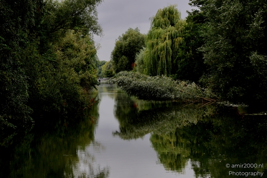 Middelpolder_summer_scenery_Amstelveen_Netherlands_Nature_Photography_Canon_EOS_R5_Mark_II_2025_006.JPG