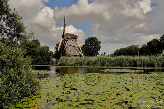 Molen_De_1100_Roe_Amsterdam_Netherlands_Nature_Photography_Canon_EOS_R5_Mark_II_2025_001.JPG