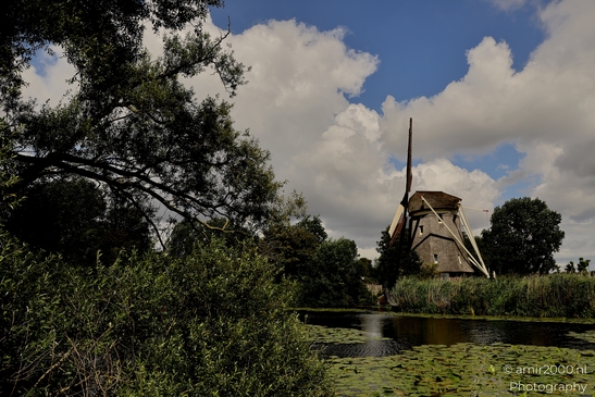 Molen_De_1100_Roe_Amsterdam_Netherlands_Nature_Photography_Canon_EOS_R5_Mark_II_2025_003.JPG