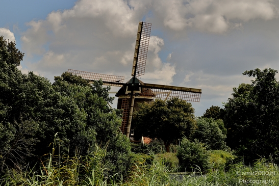 Molen_De_1100_Roe_Amsterdam_Netherlands_Nature_Photography_Canon_EOS_R5_Mark_II_2025_004.JPG