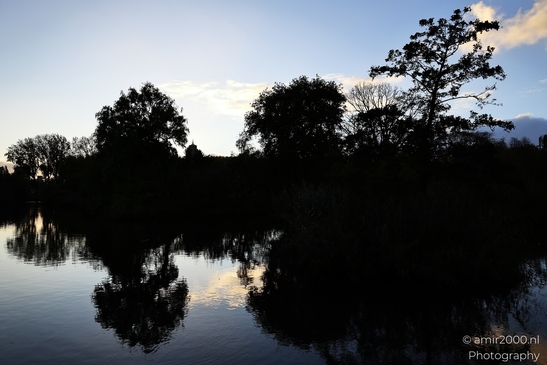 Morning_Light_In_Park_Frankendael_Amsterdam_Netherlands_nature_Photography_Canon_EOS_R5_Mark_II_2025_002.JPG