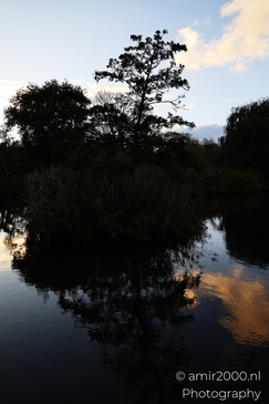 Morning_Light_In_Park_Frankendael_Amsterdam_Netherlands_nature_Photography_Canon_EOS_R5_Mark_II_2025_003.JPG