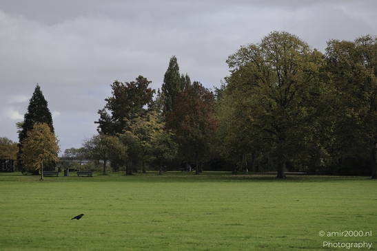 Park_Scenery_During_Autumn_Amsterdam_Netherlands_nature_Photography_Canon_EOS_R5_Mark_II_2025_003.JPG