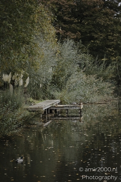 Park_Scenery_During_Autumn_Amsterdam_Netherlands_nature_Photography_Canon_EOS_R5_Mark_II_2025_005.JPG