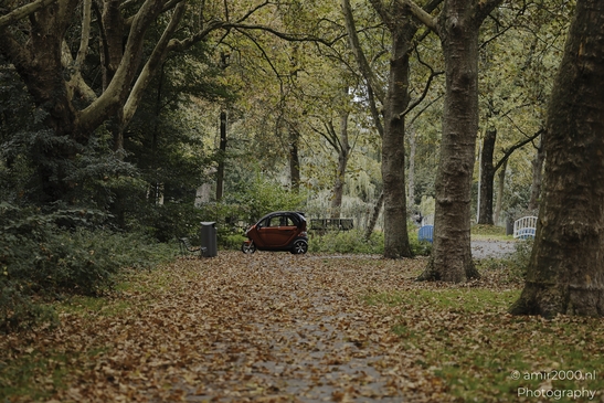Park_Scenery_During_Autumn_Amsterdam_Netherlands_nature_Photography_Canon_EOS_R5_Mark_II_2025_006.JPG