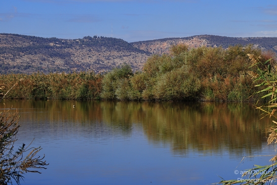 Rural_Landscape_With_Clear_Skies_And_Rolling_Hills_In_Hula_Nature_Reserve_Galilee_Ha_Galil_Israel_nature_Photography_Canon_EOS_R5_Mark_II_2025_004.JPG