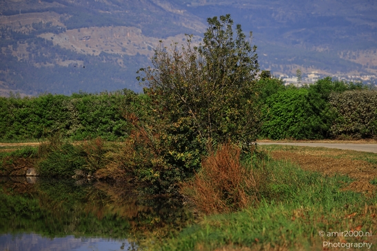 Rural_Landscape_With_Clear_Skies_And_Rolling_Hills_In_Hula_Nature_Reserve_Galilee_Ha_Galil_Israel_nature_Photography_Canon_EOS_R5_Mark_II_2025_009.JPG