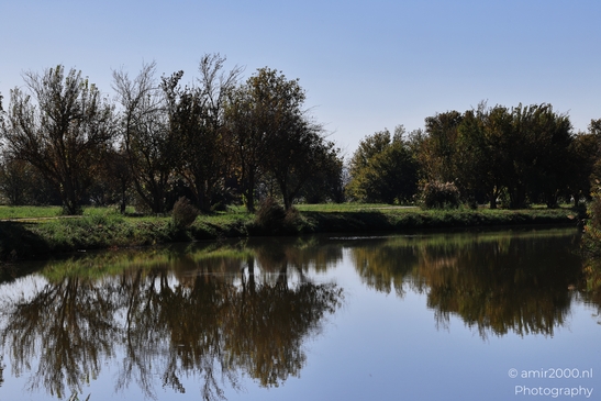 Rural_Landscape_With_Clear_Skies_And_Rolling_Hills_In_Hula_Nature_Reserve_Galilee_Ha_Galil_Israel_nature_Photography_Canon_EOS_R5_Mark_II_2025_010.JPG