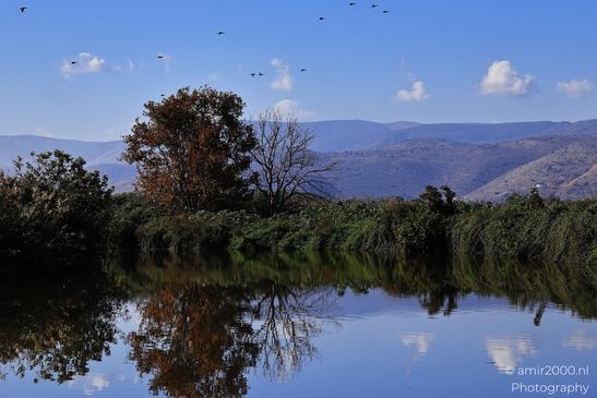 Rural_Landscape_With_Clear_Skies_And_Rolling_Hills_In_Hula_Nature_Reserve_Galilee_Ha_Galil_Israel_nature_Photography_Canon_EOS_R5_Mark_II_2025_012.JPG
