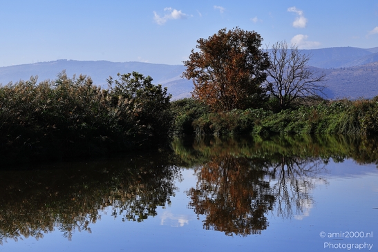 Rural_Landscape_With_Clear_Skies_And_Rolling_Hills_In_Hula_Nature_Reserve_Galilee_Ha_Galil_Israel_nature_Photography_Canon_EOS_R5_Mark_II_2025_014.JPG