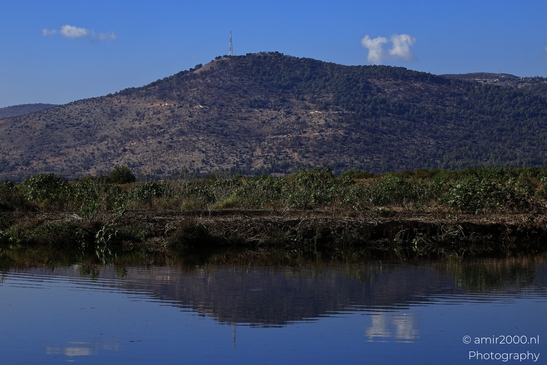Rural_Landscape_With_Clear_Skies_And_Rolling_Hills_In_Hula_Nature_Reserve_Galilee_Ha_Galil_Israel_nature_Photography_Canon_EOS_R5_Mark_II_2025_015.JPG
