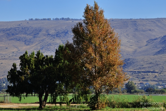 Rural_Landscape_With_Clear_Skies_And_Rolling_Hills_In_Hula_Nature_Reserve_Galilee_Ha_Galil_Israel_nature_Photography_Canon_EOS_R5_Mark_II_2025_018.JPG