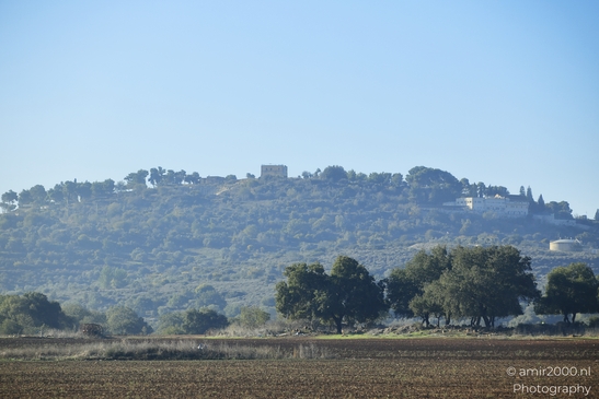Rural_Landscape_With_Hazy_Atmosphere_Galilee_Ha_Galil_Israel_nature_Photography_Canon_EOS_R5_Mark_II_2025_002.JPG