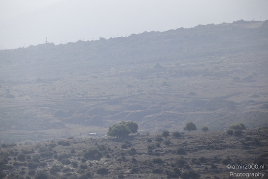Rural_Landscape_With_Hazy_Atmosphere_Galilee_Ha_Galil_Israel_nature_Photography_Canon_EOS_R5_Mark_II_2025_006.JPG