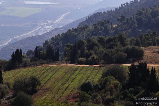 Scenic_Landscape_From_Manara_Cliff_Upper_Galilee_Ha_Galil_Israel_nature_Photography_Canon_EOS_R5_Mark_II_2025_019.JPG