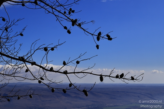 Scenic_Landscape_From_Manara_Cliff_Upper_Galilee_Ha_Galil_Israel_nature_Photography_Canon_EOS_R5_Mark_II_2025_020.JPG