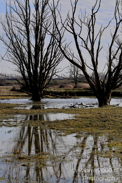 Spaarnwoude_Park_Halfweg_Netherlands_Nature_Photography_Canon_EOS_R5_Mark_II_2025_003.JPG