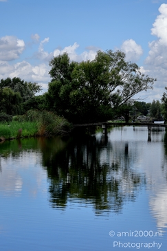 Summer_along_Middelpolder_Amstelveen_Netherlands_Nature_Photography_Canon_EOS_R5_Mark_II_2025_003.JPG