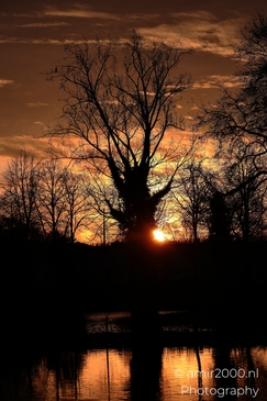 A tranquil sunrise scene with silhouetted trees against an orange sky. - image from year 2025 #005