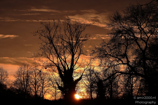 With sunrise gradients in view, a morning scene appears against a darkening horizon in Amsterdam - image from year 2025 #006