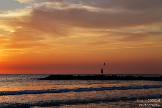 Sunset_Scenery_In_Tel_Aviv_Jaffa_Mediterranean_Sea_Israel_nature_Photography_Canon_EOS_R5_Mark_II_2025_007.JPG