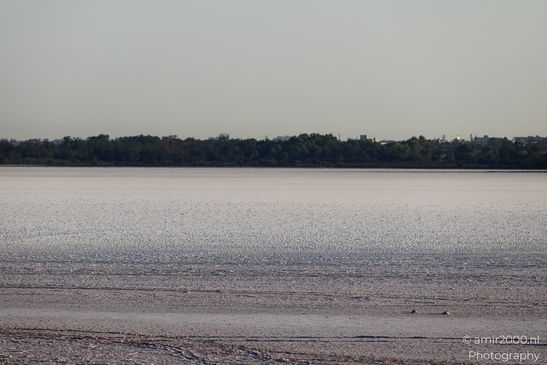 Sunset_and_experiencing_Salt_Lake_Larnaca_Cyprus_Nature_Photography_Canon_EOS_R5_Mark_II_2025_021.JPG