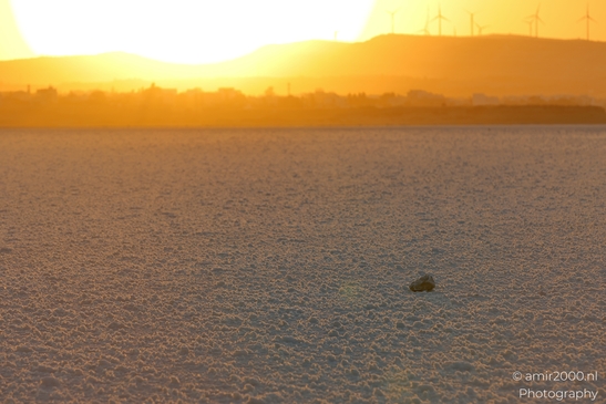 Sunset_and_experiencing_Salt_Lake_Larnaca_Cyprus_Nature_Photography_Canon_EOS_R5_Mark_II_2025_053.JPG