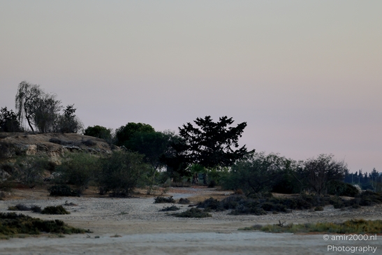 Sunset_and_experiencing_Salt_Lake_Larnaca_Cyprus_Nature_Photography_Canon_EOS_R5_Mark_II_2025_073.JPG