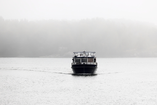 Sveaborg_Suomenlinna_Island_Misty_morning_Helsinki_Finland_Nature_Photography_Canon_EOS_R5_Mark_II_2025_074.JPG