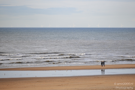 Windmills_And_Seagulls_At_The_Beach_Zandvoort_Netherlands_nature_Photography_Canon_EOS_R5_Mark_II_2025_001.JPG