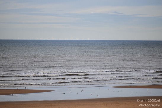 Windmills_And_Seagulls_At_The_Beach_Zandvoort_Netherlands_nature_Photography_Canon_EOS_R5_Mark_II_2025_002.JPG