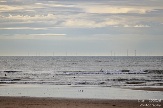 Windmills_And_Seagulls_At_The_Beach_Zandvoort_Netherlands_nature_Photography_Canon_EOS_R5_Mark_II_2025_003.JPG