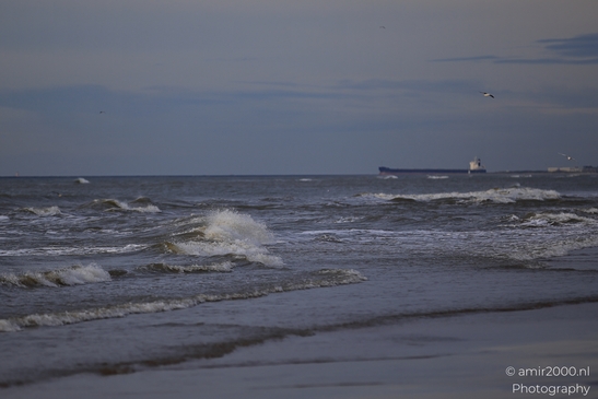 Windmills_And_Seagulls_At_The_Beach_Zandvoort_Netherlands_nature_Photography_Canon_EOS_R5_Mark_II_2025_008.JPG