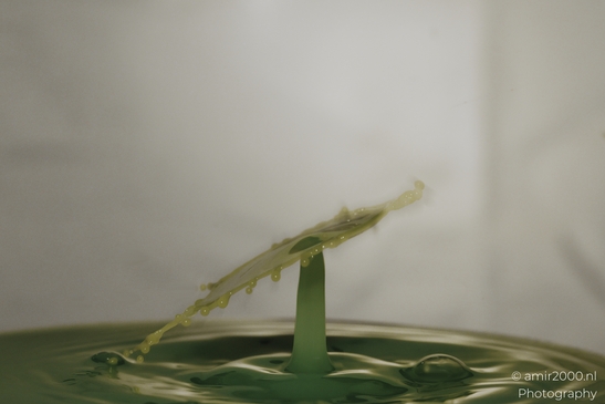 Water drops in creative series, yellow and green hues blend to form a dynamic dance of droplets - image from year 2025 #005