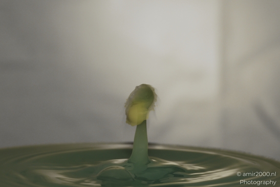 Water drops dance in a creative series with yellow hues in Water Drops Creative Series. . - image from year 2025 #008