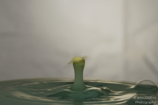 Water drops creatively collide in a yellow-toned series, capturing the essence of nature's dance - image from year 2025 #010