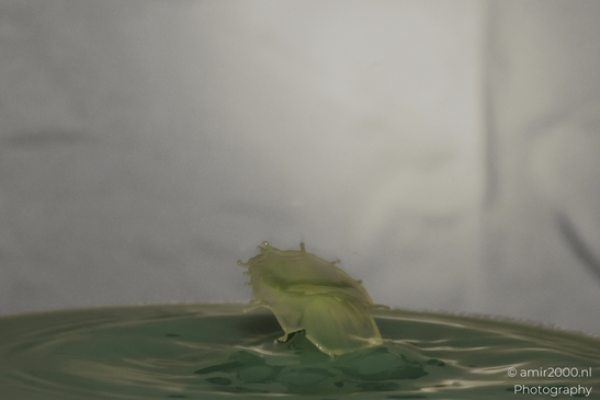 Water drops creative series: A yellow leaf dancing in a puddle of water. . - image from year 2025 #013